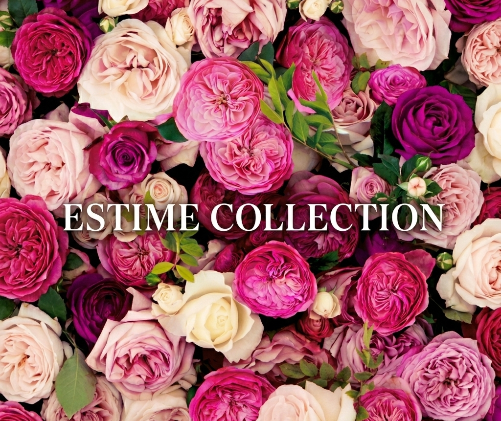 ESTIME COLLECTION